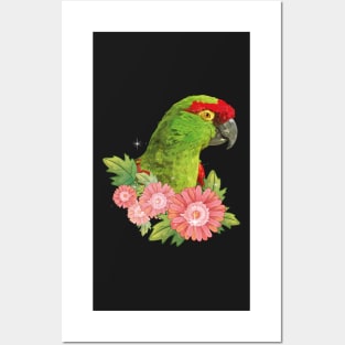 mountain parrot Posters and Art